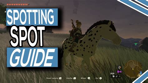 how to get the spotted horse totk
